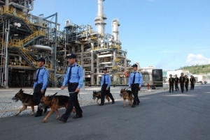 dịch vụ bảo vệ công trình xây dựng tại điện biên - 0912686666 - 0982001001