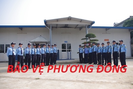 Dịch vụ bảo vệ nhà máy 